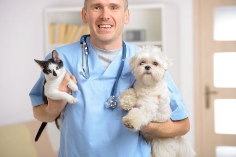 Happy vet with dog and cat, focus intentionally left on smile of veterinary.
